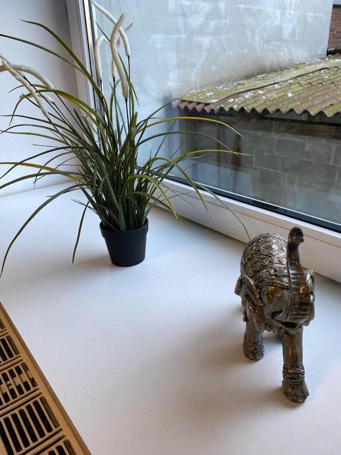 Praktische City Apartments Direkt Am Hauptbahnhof Neumünster Kültér fotó